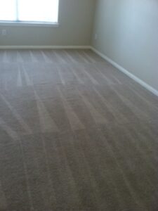 Professional Carpet Cleaning