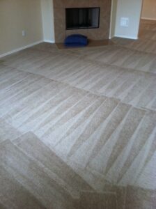 Best Carpet Cleaners Houston 