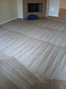 Best Carpet Cleaners Houston