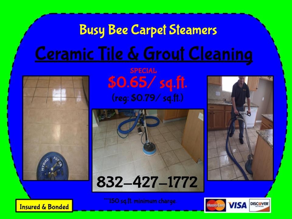 Natural Carpet Cleaning In Carlsbad Bnk Chem Dry